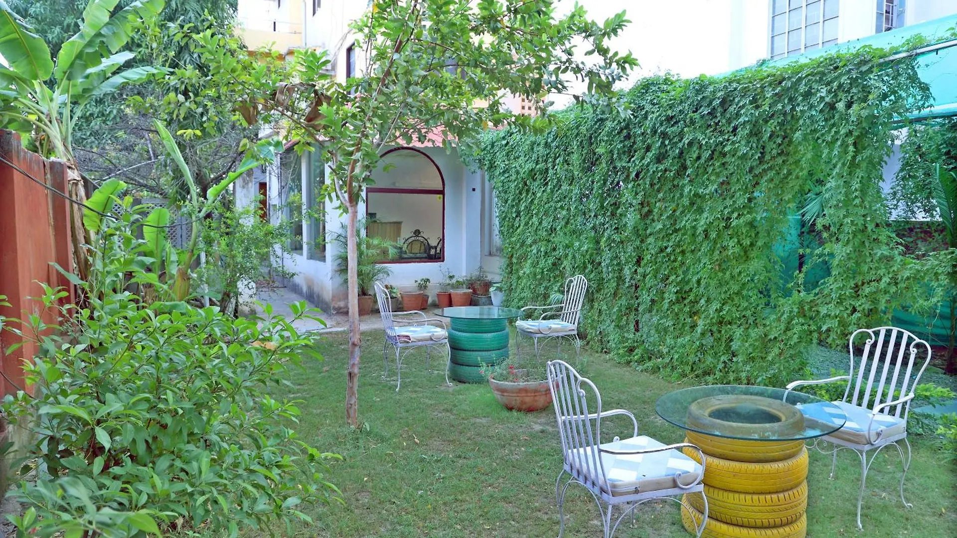 Hotel Tree Of Heaven Udaipur India
