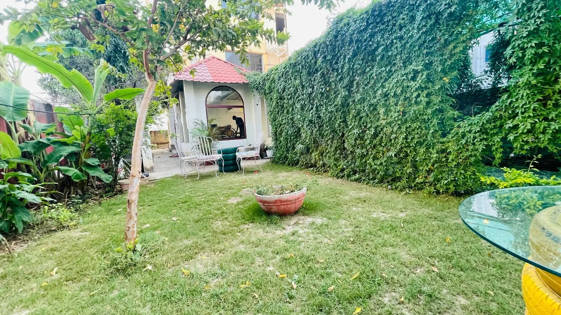 Hotel Tree Of Heaven Udaipur
